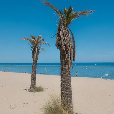 Le Cocon Du Soleil - Wifi - Plage A 1 Min アパート Le Barcarès